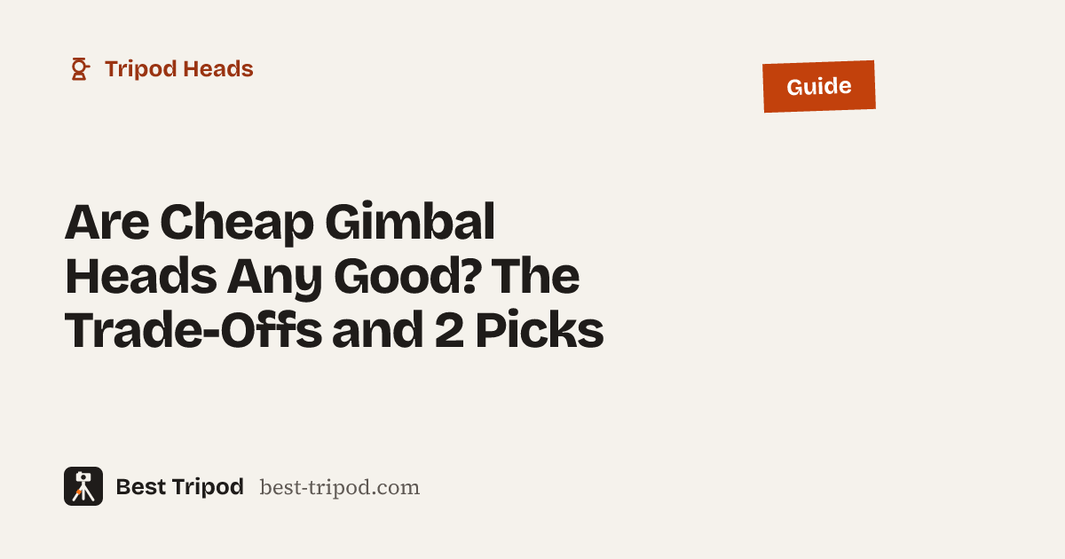 Are Cheap Gimbal Heads Any Good? The Trade-Offs and 2 Picks – Best Tripod guide