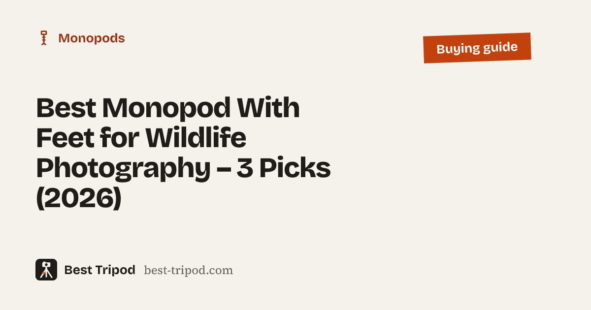 Best Monopod With Feet for Wildlife Photography – 3 Picks (2026) – Best Tripod buying guide